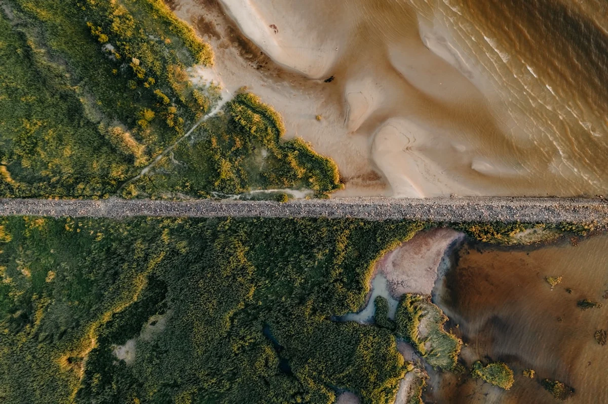 Find matches in a list or dictionary